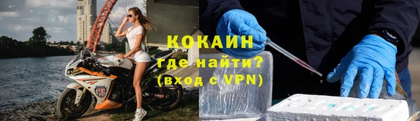 индика Беломорск