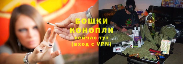 гидропоника Белокуриха