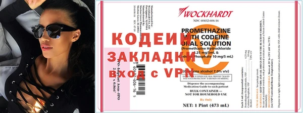 индика Беломорск