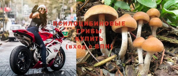 ALPHA PVP Богородицк