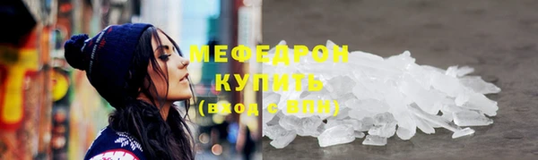 индика Беломорск