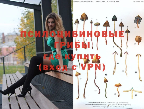 гидропоника Белокуриха