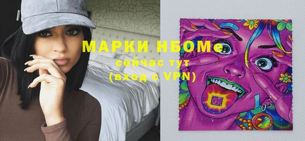 метадон Богданович
