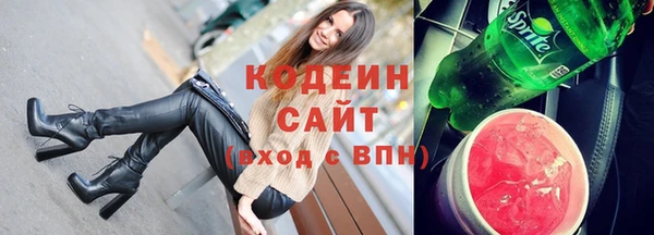 метадон Богданович