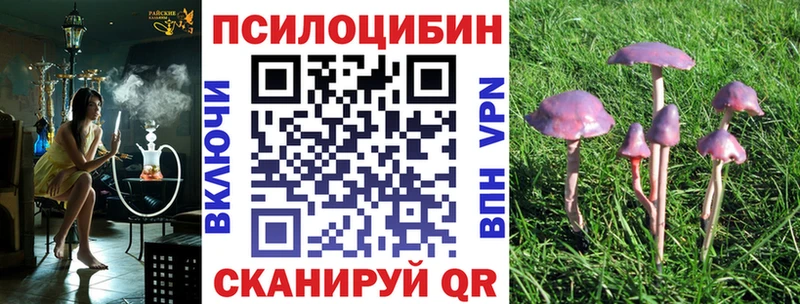 Галлюциногенные грибы Cubensis  купить  сайты  Козьмодемьянск 