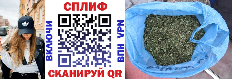 Бошки марихуана SATIVA & INDICA  купить наркотик  hydra вход  Козьмодемьянск 